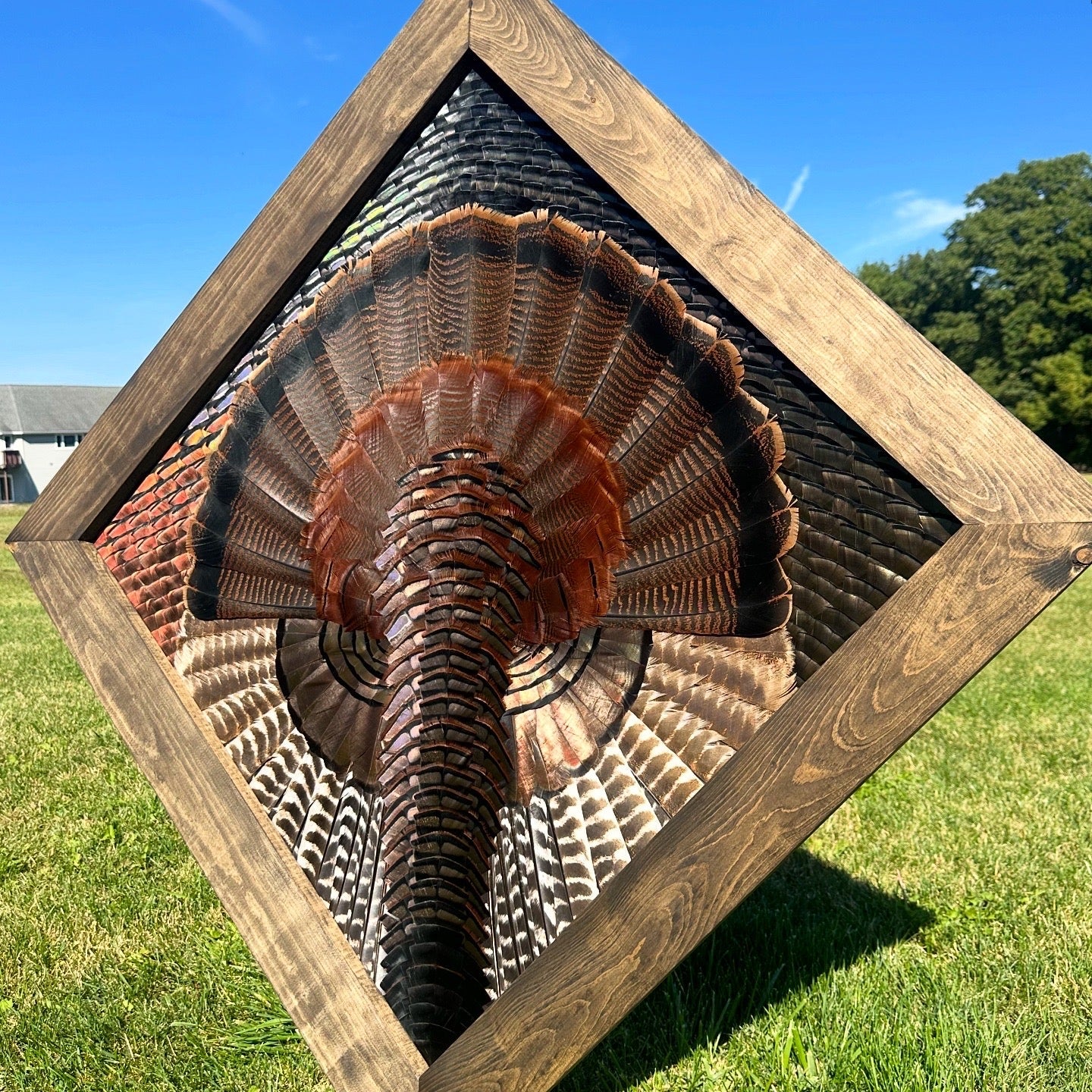 Diamond Turkey Mount Video Tutorial - All Feathers Taxidermy