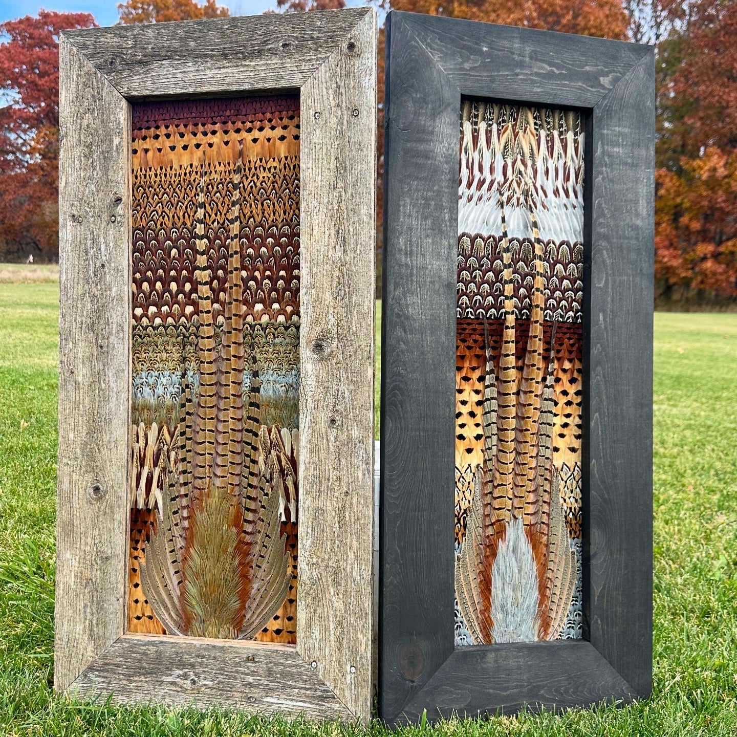 Frame Building Tutorial - All Feathers Taxidermy