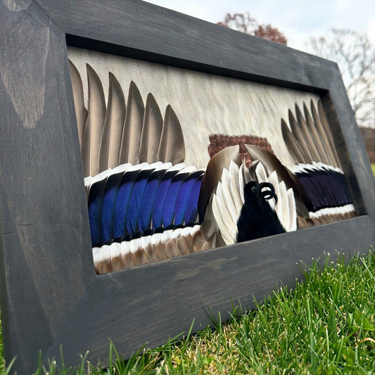 Waterfowl Video Tutorial - All Feathers Taxidermy