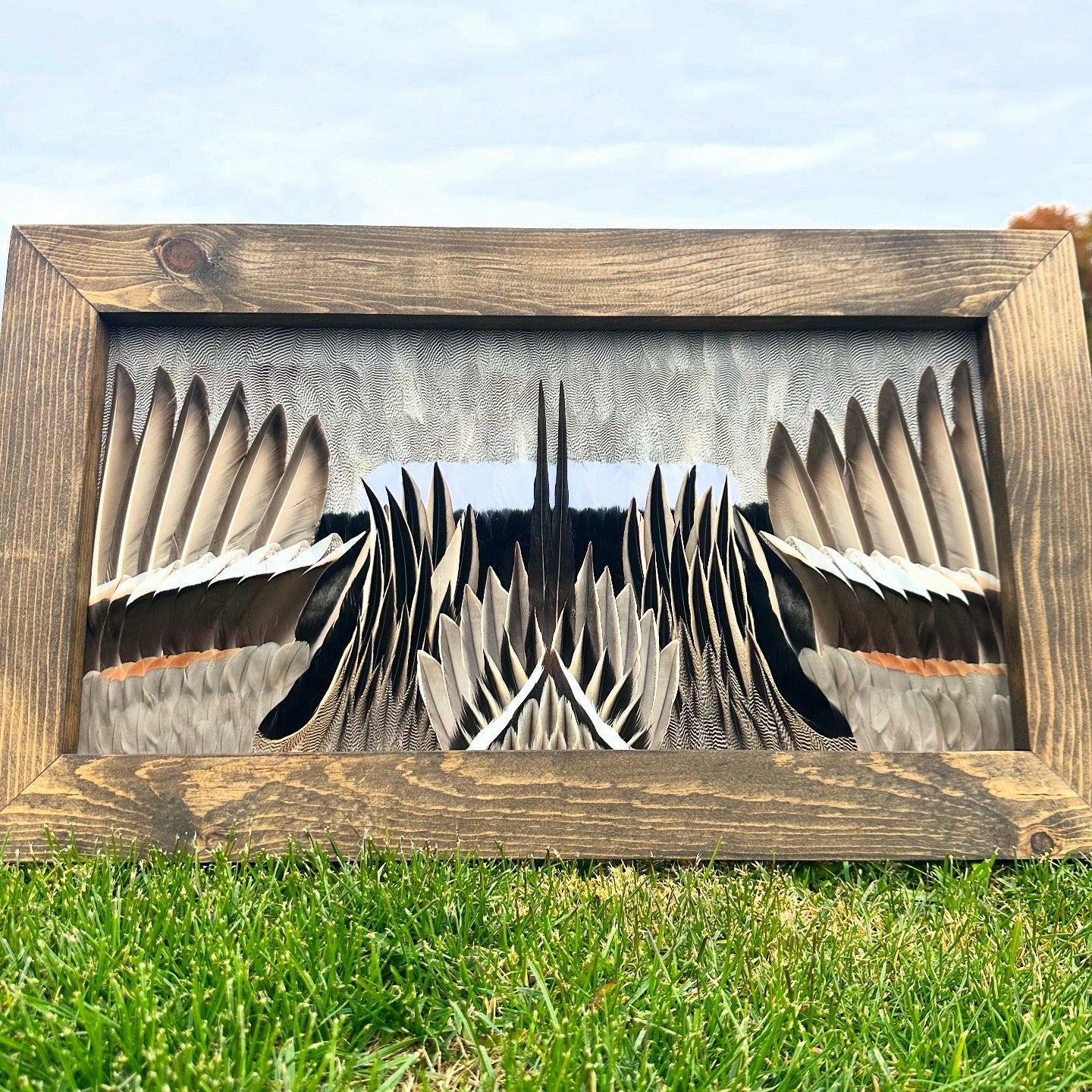 0D24968F-CB09-460C-9E7E-300642C3FDD3.JPG__PID:9077728b-e190-42b0-b4a3-63867e300ea6