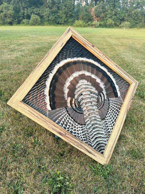 Turkey feather art