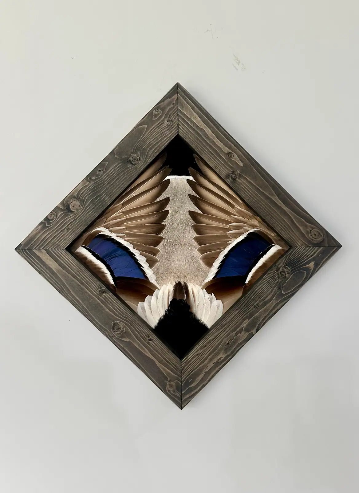 Diamond Duck Tutorial - All Feathers Taxidermy