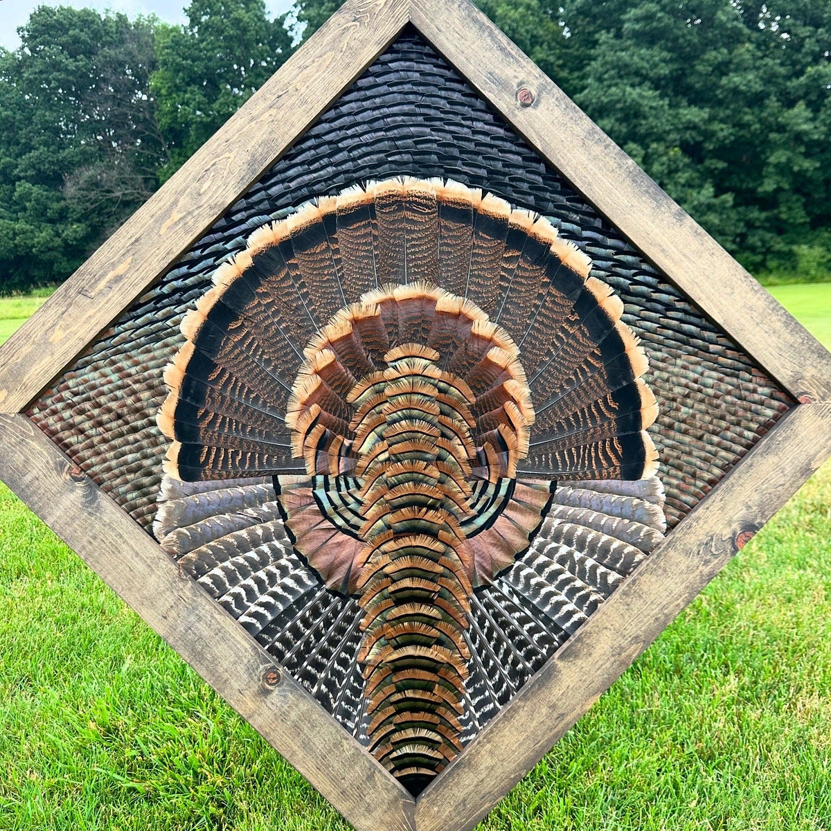 Frame Building Tutorial - All Feathers Taxidermy