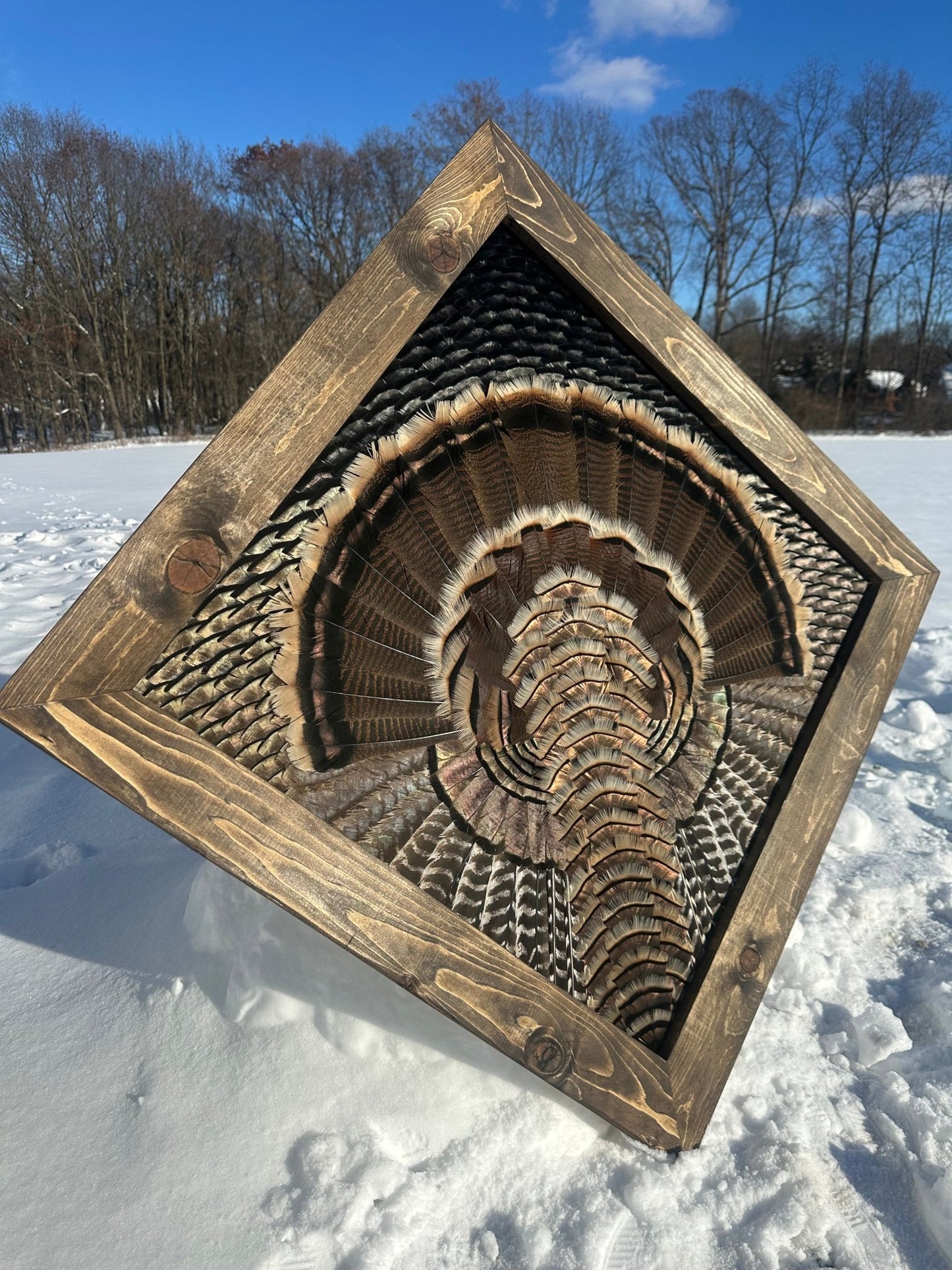 Diamond Turkey Mount Video Tutorial - All Feathers Taxidermy