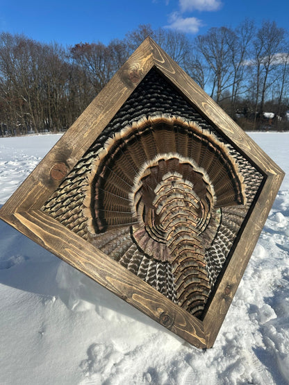 Diamond Turkey Mount Video Tutorial - All Feathers Taxidermy