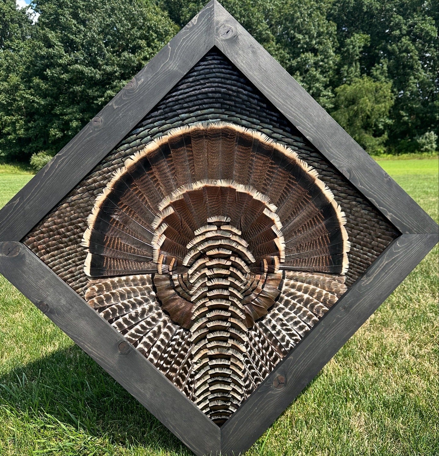 Diamond Turkey Mount Video Tutorial - All Feathers Taxidermy