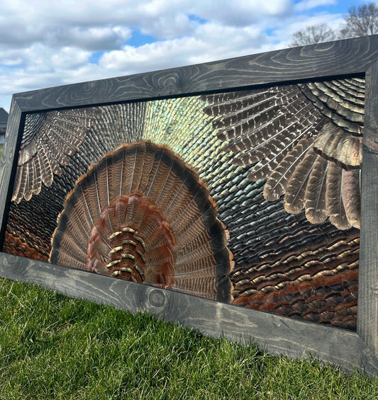 Double Wing Mount Video Tutorial - All Feathers Taxidermy