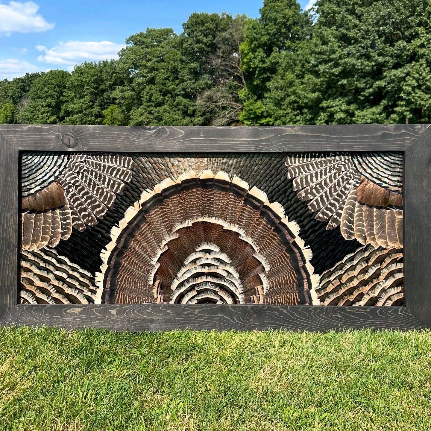 Double Wing Mount Video Tutorial - All Feathers Taxidermy