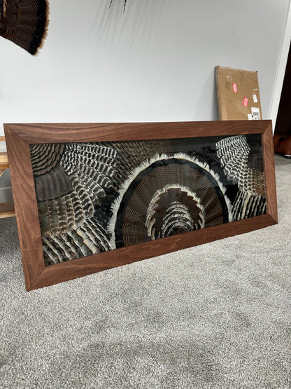 Double Wing Mount Video Tutorial - All Feathers Taxidermy