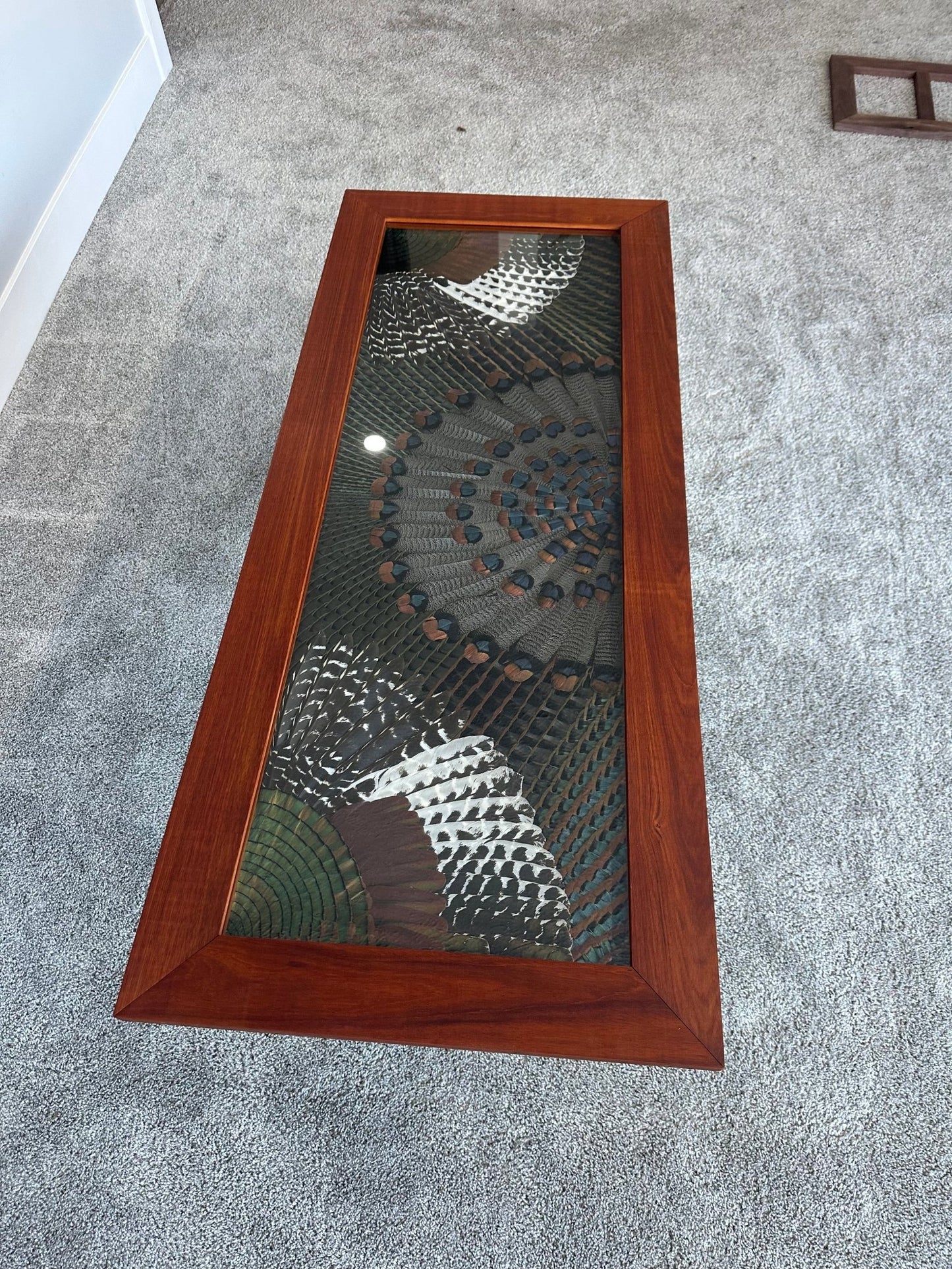 Double Wing Mount Video Tutorial - All Feathers Taxidermy