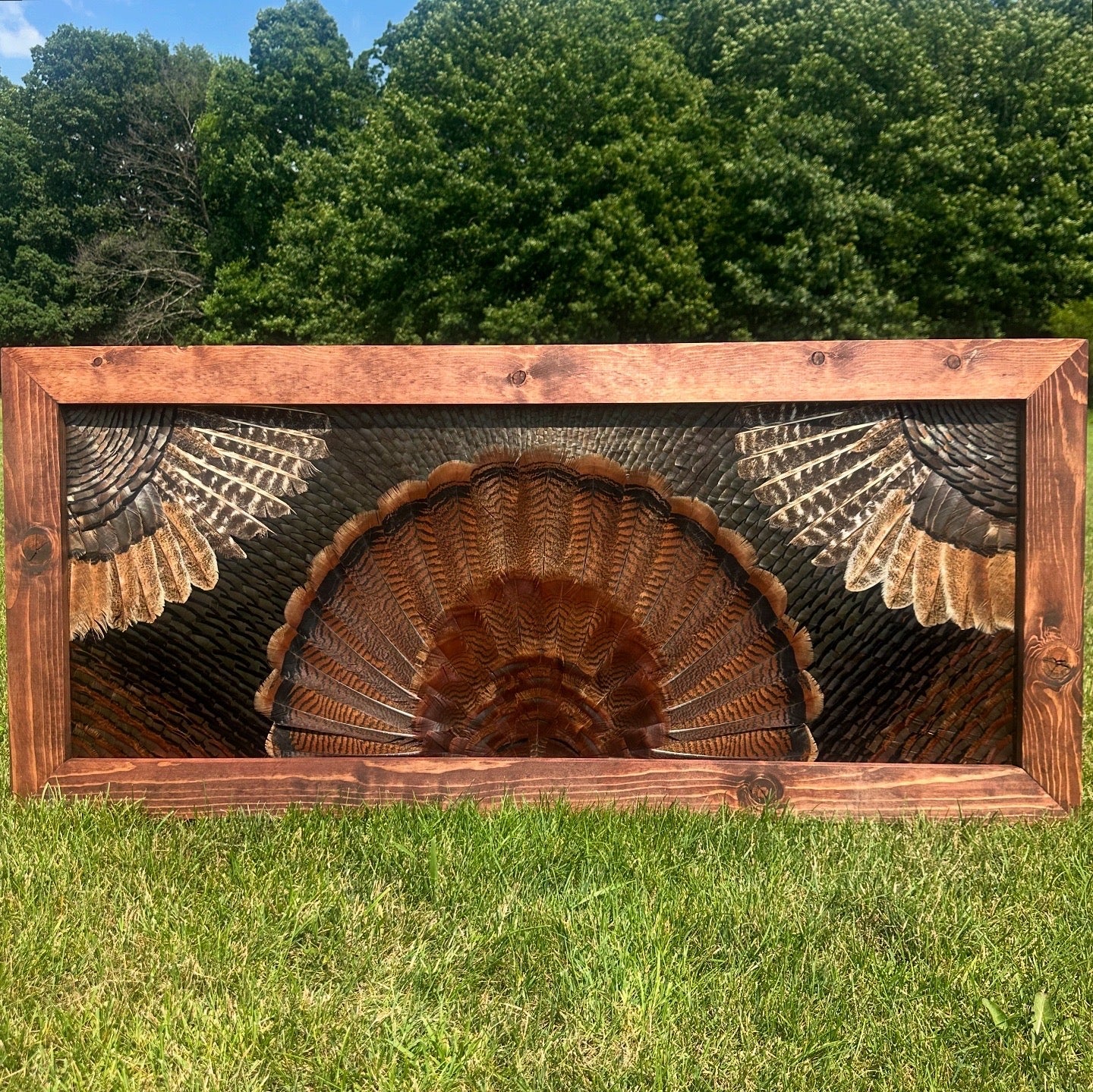 Double Wing Mount Video Tutorial - All Feathers Taxidermy