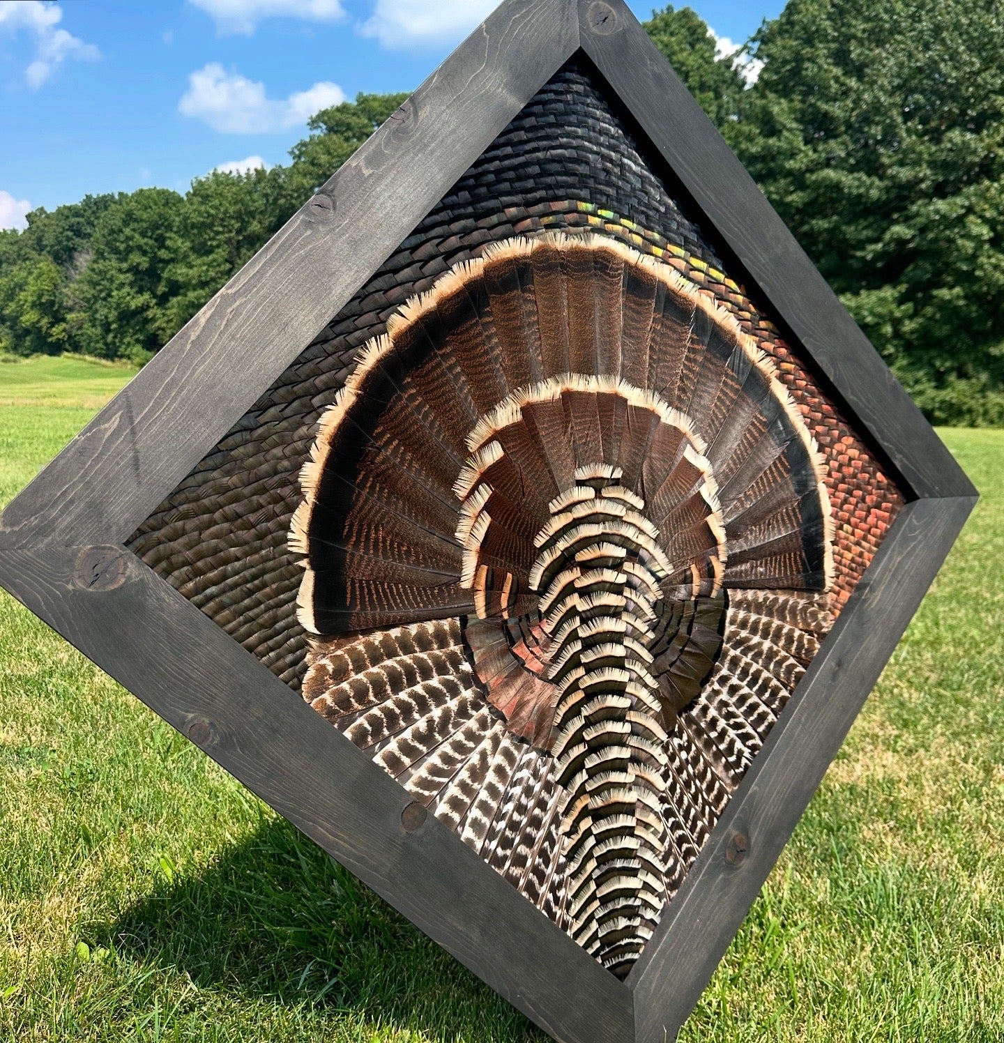Frame Building Tutorial - All Feathers Taxidermy