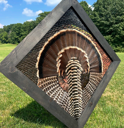 Frame Building Tutorial - All Feathers Taxidermy