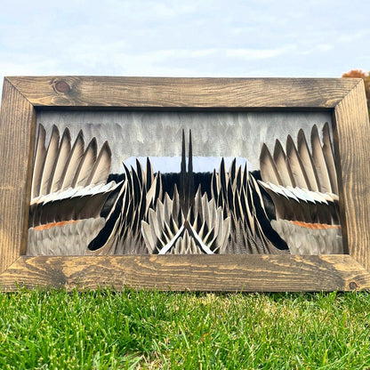 Frame Building Tutorial - All Feathers Taxidermy