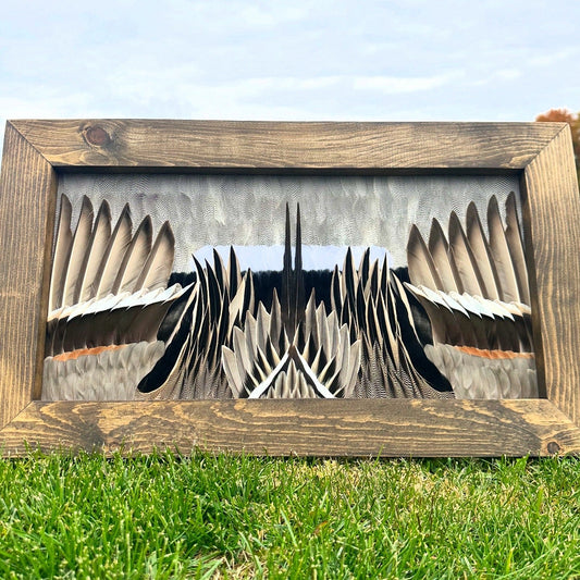 Frame Building Tutorial - All Feathers Taxidermy