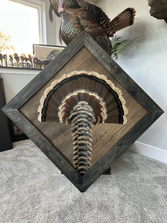 Frame Building Tutorial - All Feathers Taxidermy