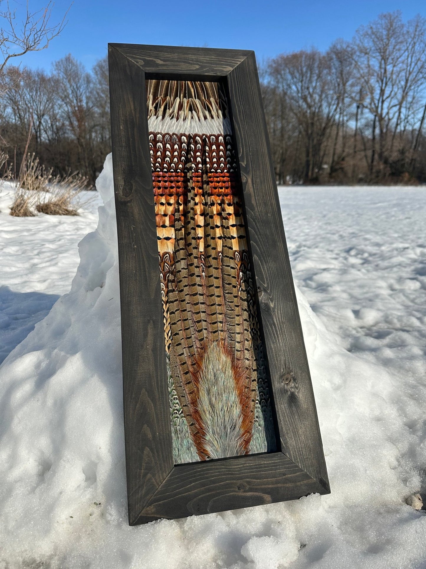 Pheasant Video Tutorial - All Feathers Taxidermy