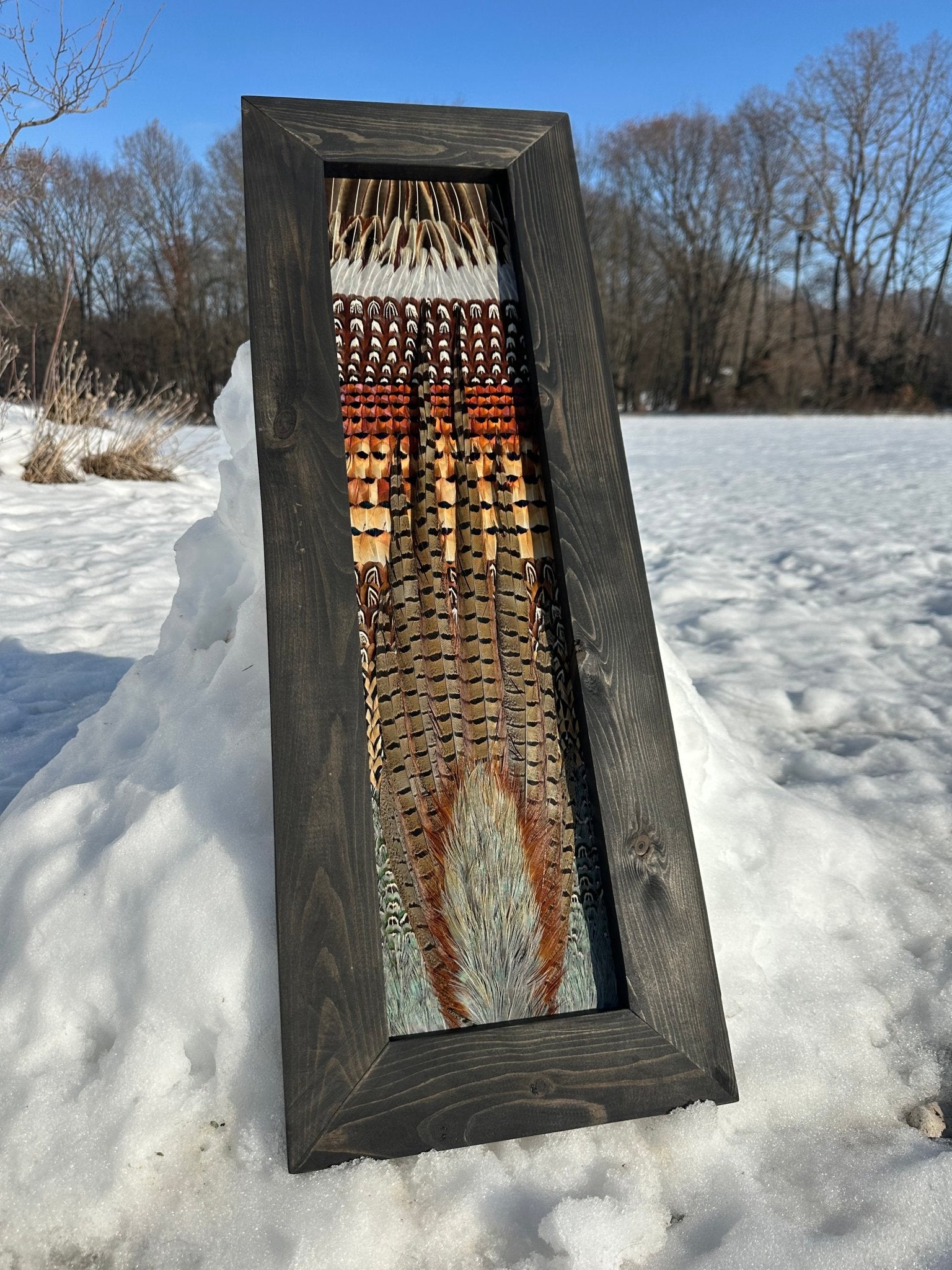 Pheasant Video Tutorial - All Feathers Taxidermy