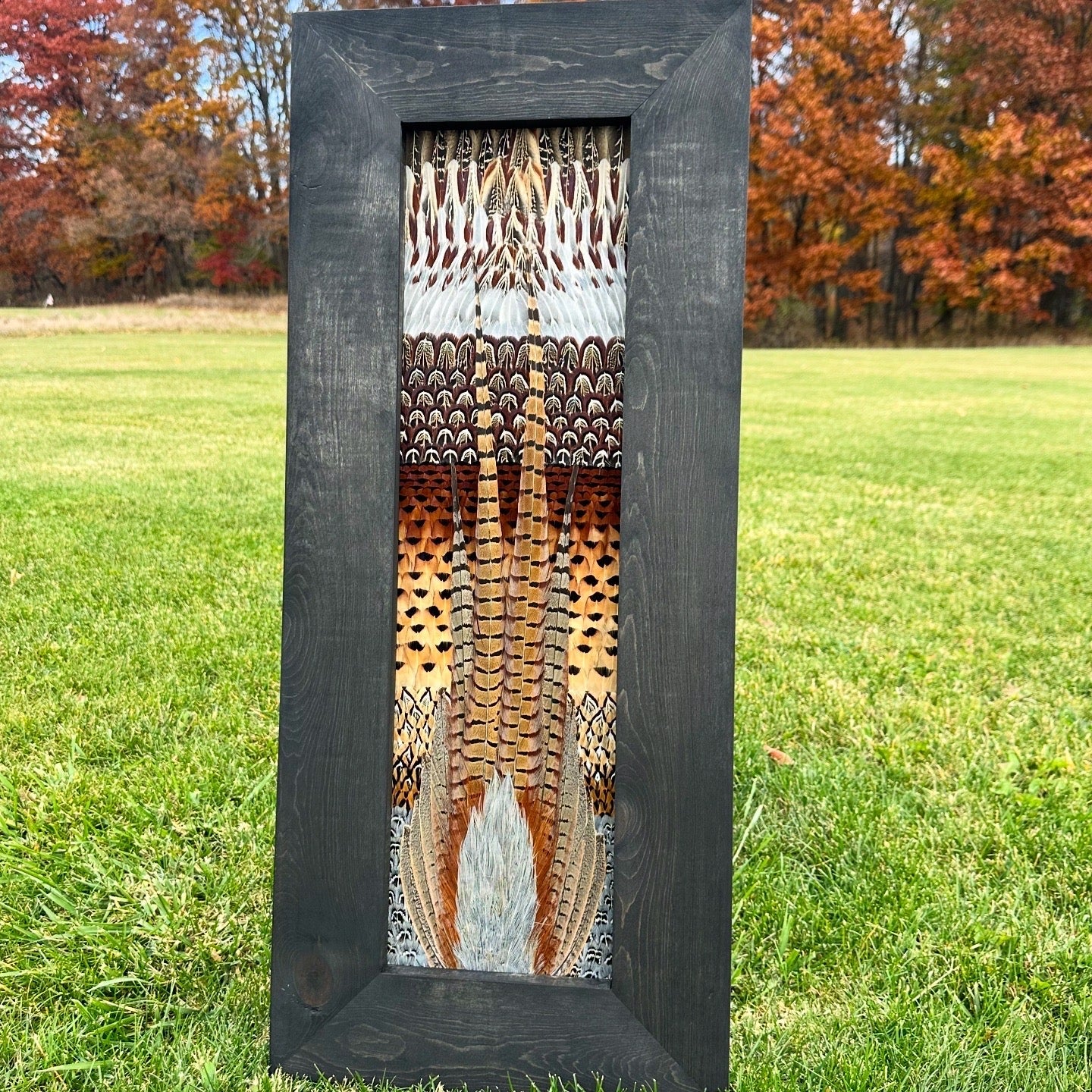 Pheasant Video Tutorial - All Feathers Taxidermy