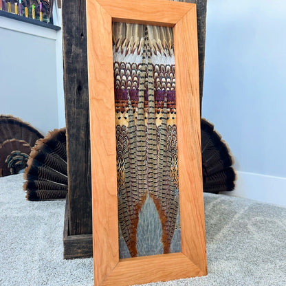 Pheasant Video Tutorial - All Feathers Taxidermy