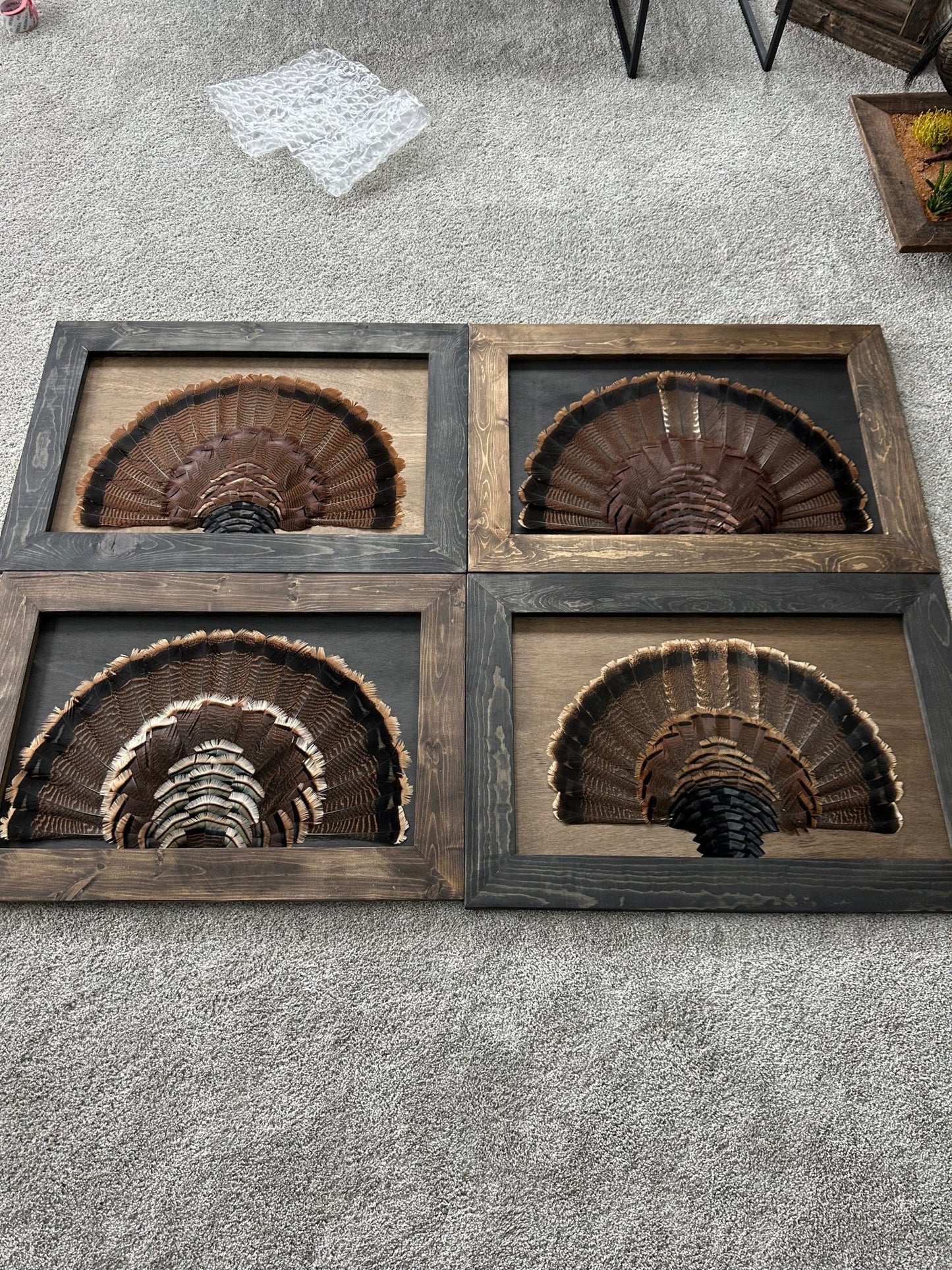 Stained Background Tutorial - All Feathers Taxidermy