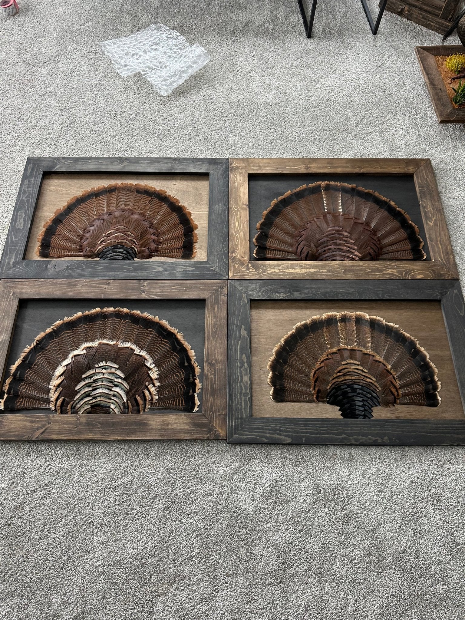 Stained Background Tutorial - All Feathers Taxidermy