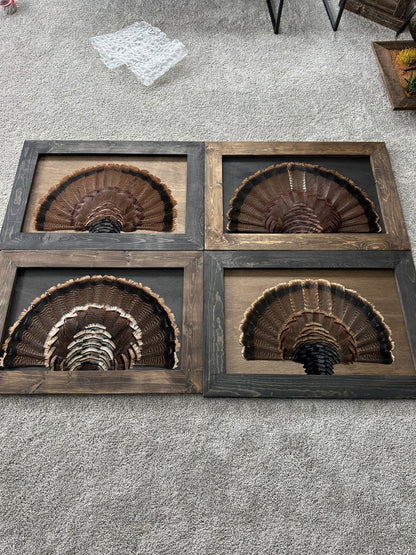 Stained Background Tutorial - All Feathers Taxidermy