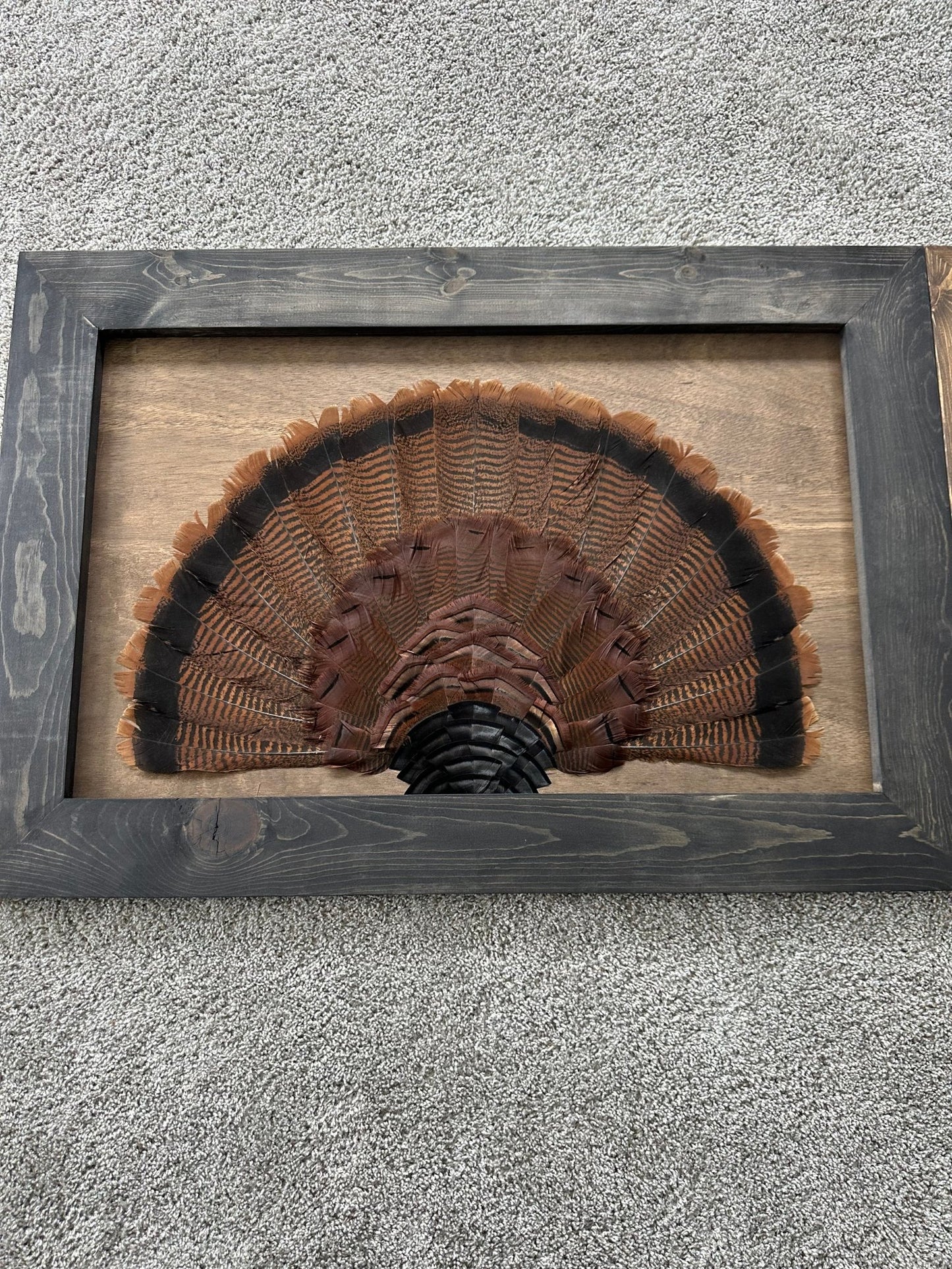 Stained Background Tutorial - All Feathers Taxidermy