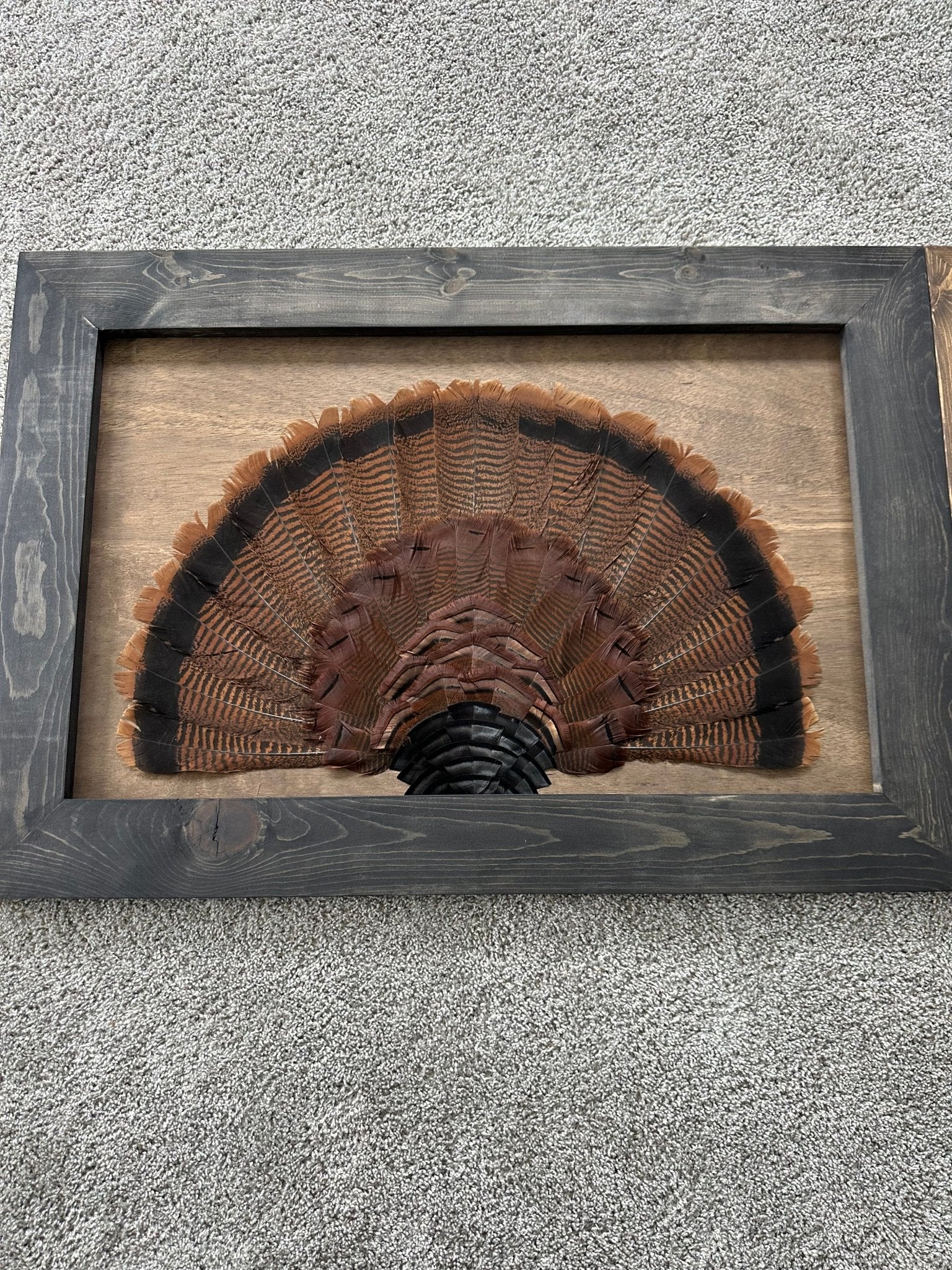 Stained Background Tutorial - All Feathers Taxidermy