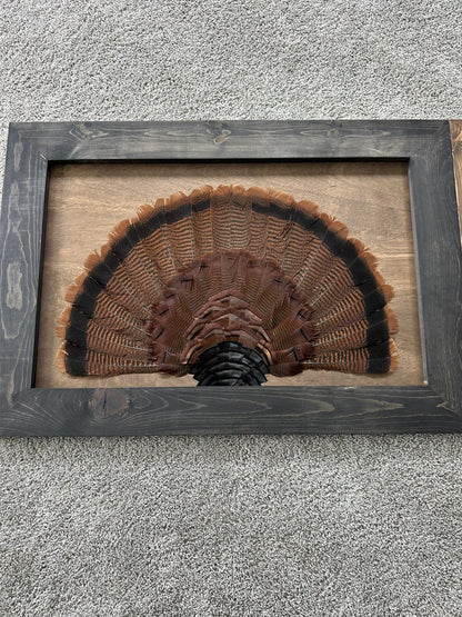 Stained Background Tutorial - All Feathers Taxidermy