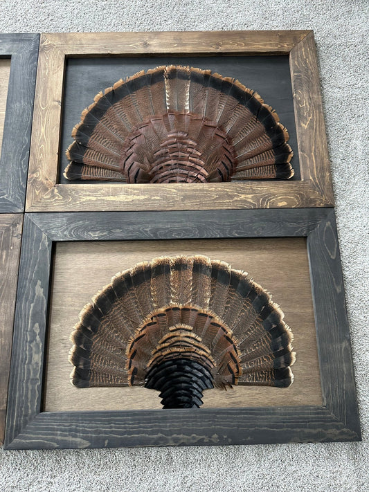Stained Background Tutorial - All Feathers Taxidermy