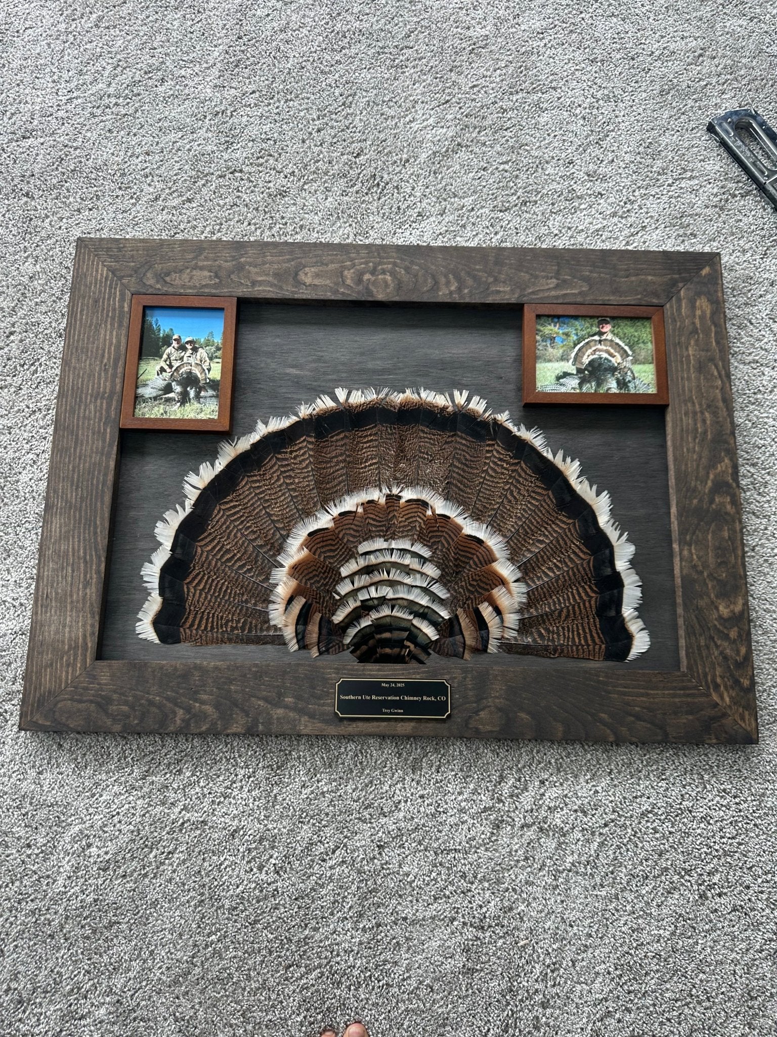 Stained Background Tutorial - All Feathers Taxidermy