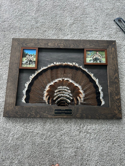 Stained Background Tutorial - All Feathers Taxidermy