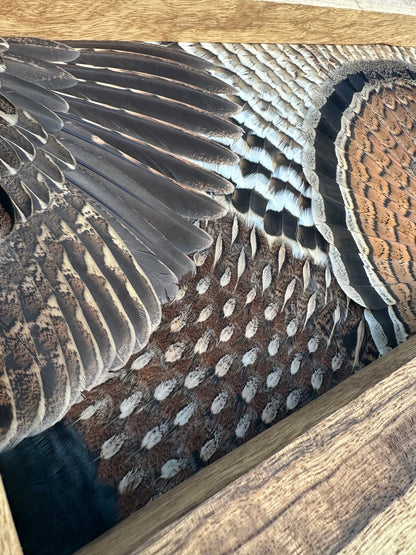 Universal Upland Tutorial - All Feathers Taxidermy
