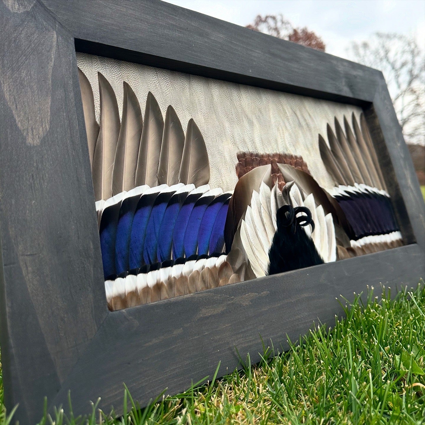 Waterfowl Video Tutorial - All Feathers Taxidermy