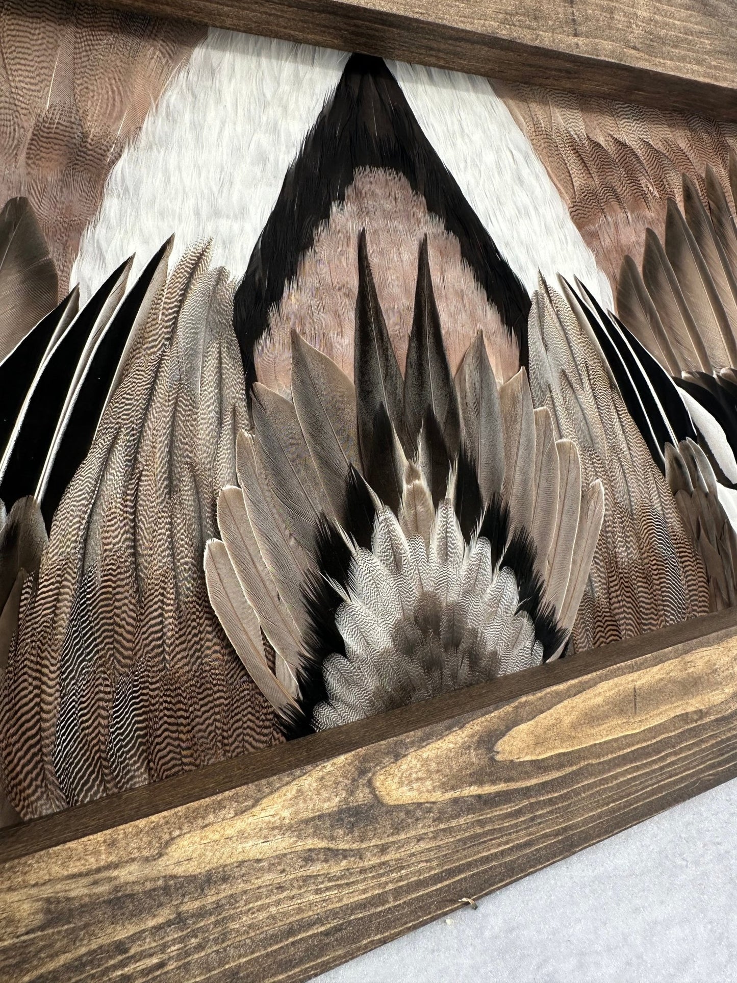 Waterfowl Video Tutorial - All Feathers Taxidermy