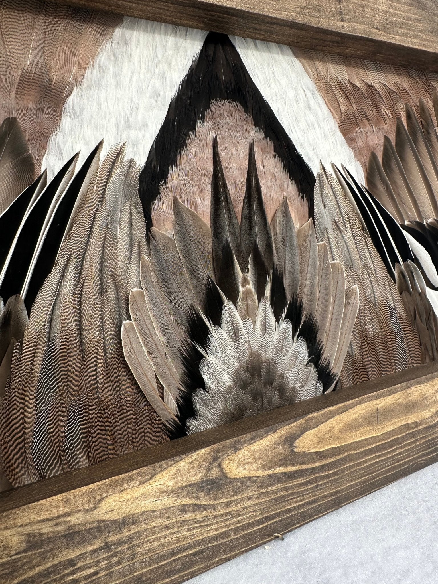Waterfowl Video Tutorial - All Feathers Taxidermy