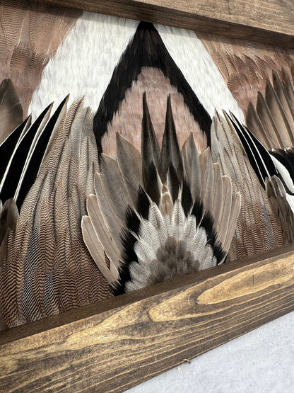 Waterfowl Video Tutorial - All Feathers Taxidermy